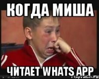 когда миша читает whats app