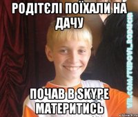 родітєлі поїхали на дачу почав в skype материтись