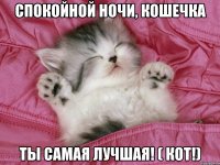 Спокойной ночи, кошечка Ты самая лучшая! ( кот!)