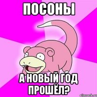 ПОСОНЫ А НОВЫЙ ГОД ПРОШЁЛ?