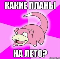 какие планы на лето?