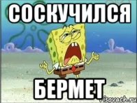 СОСКУЧИЛСЯ БЕРМЕТ