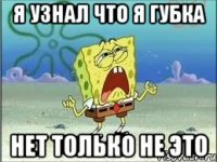 Я узнал что я губка нет только не это