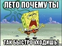 лето почему ты так быстро уходишь!