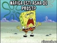 Nafiga esti asha de prost? 