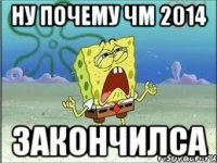 НУ ПОЧЕМУ ЧМ 2014 ЗАКОНЧИЛСА