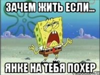 Зачем жить если... Янке на тебя похер