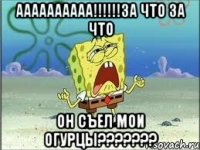 аааааааааа!!!!!!за что за что он съел мои огурцы???????