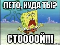 ЛЕТО, КУДА ТЫ? СТООООЙ!!!