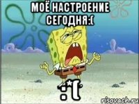 Моё настроение сегодня:( :*(