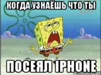 когда узнаёшь что ты посеял IPhone