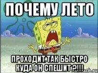 Почему лето Проходит так быстро куда он спешит ?!!!