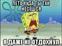 Лето куда ты так несёшся я даже не отдохнул