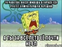 то чувство, когда живешь в городе где растет самая лучшая черешня а ты за всё лето её почти не ел