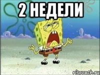 2 недели 