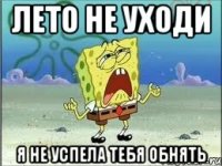 лето не уходи я не успела тебя обнять