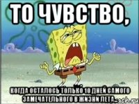 То чувство, Когда осталось только 10 дней самого замечательного в жизни лета...