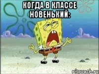 Когда в классе новенький: 