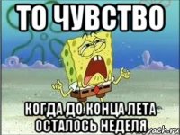 то чувство когда до конца лета осталось неделя