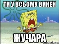 ти у всьому винен жучара