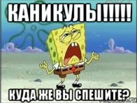 КАНИКУЛЫ!!!!! Куда же вы спешите?