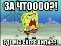 За чтоооо?! Где мы согрешили??!