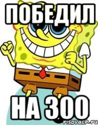 Победил на 300