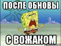 после обновы с вожаком