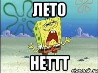 Лето Неттт