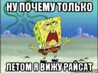 Ну почему только летом я вижу Райсат