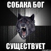 собака бог существует