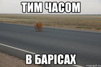 тим часом в барісах