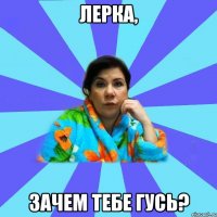 Лерка, зачем тебе Гусь?