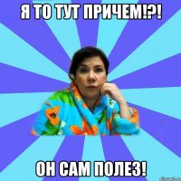 Я то тут причем!?! Он сам полез!