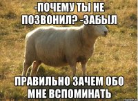 -почему ты не позвонил? -забыл правильно зачем обо мне вспоминать