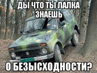 Ды что ты лалка знаешь О безысходности?