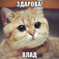 Здарова! ВЛАД