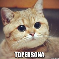  tdpersona