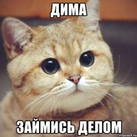 Дима займись делом