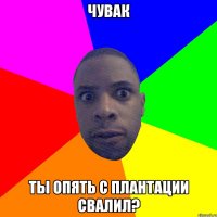 чувак ты опять с плантации свалил?