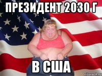 президент 2030 г в США