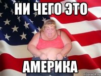 ни чего это америка