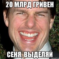 20 млрд гривен Сеня, выделяй