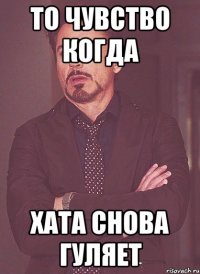 ТО ЧУВСТВО КОГДА ХАТА СНОВА ГУЛЯЕТ