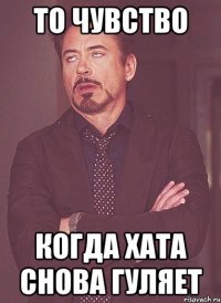 ТО ЧУВСТВО КОГДА ХАТА СНОВА ГУЛЯЕТ