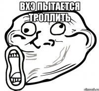 ВХЭ пытается троллить 