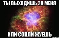 ТЫ ВЫХОДИШЬ ЗА МЕНЯ ИЛИ СОПЛИ ЖУЕШЬ