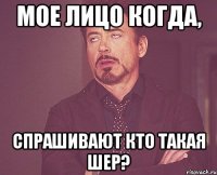 Мое лицо когда, спрашивают кто такая Шер?