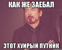 как же заебал этот хуирый путник