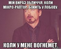 Мій вираз обличчя, коли мікро-раптор, біжить у лобову. Коли у мене вогнемет.